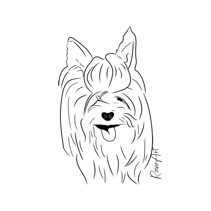 Diseño Yorkshire Terrier