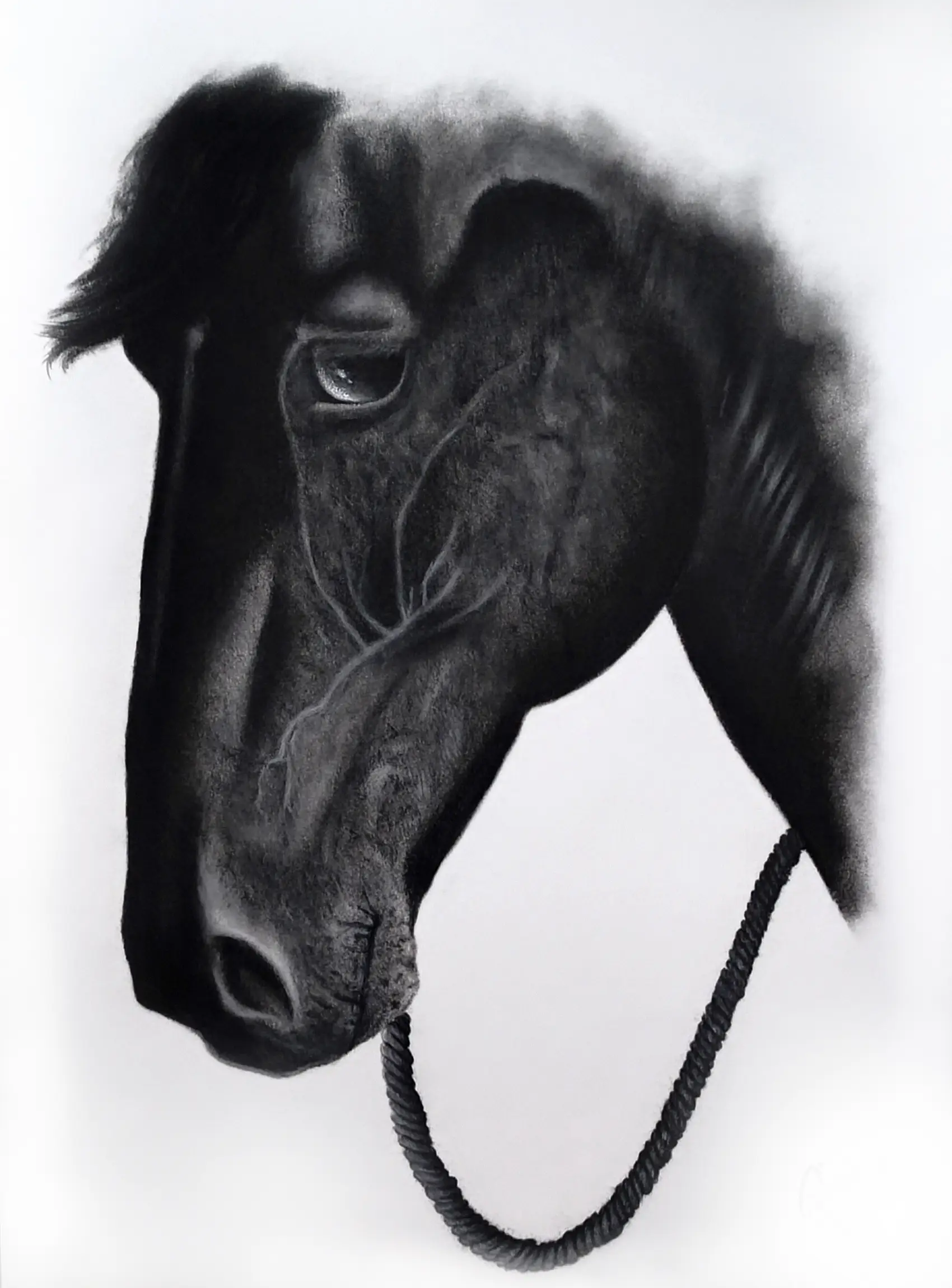 Caballo Tristeza